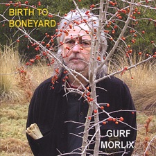 Gurf Morlix - Madalyn's Bones