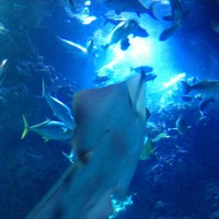 Celestial Aeon Project - Sunrise