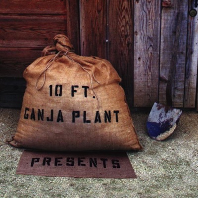 10 Ft. Ganja Plant Presents