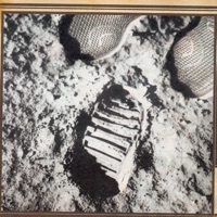 XSL20Mutant - White House