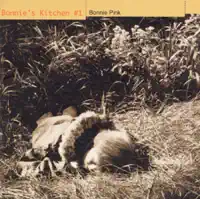 It's Gonna Rain! — BONNIE PINK