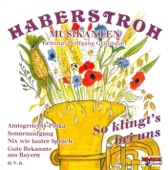Haberstroh Musikanten - Auf geht's Musikanten (Polka)