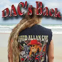 I'd Swear I Was In Heaven (If I Went to Hell With You) — David Allan Coe