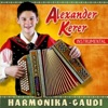Harmonikagaudi
