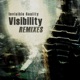Visibility Remix E P