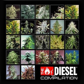Okie Doke THE DIESEL COMPILATION