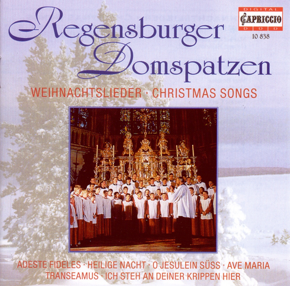 Christmas Choral Concert: Regensburg Cathedral Choir - Lutzel, J.H. - Pachelbel, J. - Handl, J. - Rheinberger, J.G. - Brahms, J. - Britten, B. cover art