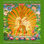 Visualizations for Self-Transformation