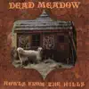 Dead Meadow - Everything's Goin On