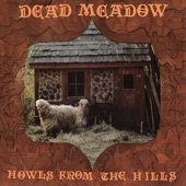 Dead Meadow - Dusty Nothing