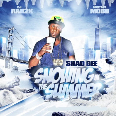 Snowing In the Summer