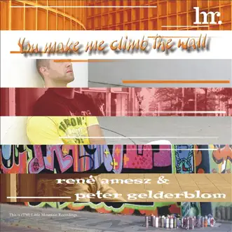 You Make Me Climb the Wall (Dub) by Peter Gelderblom & René Amesz song reviws