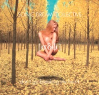 Sonic Dream Collective - Don't Go Breaking My Heart (Radio Version)