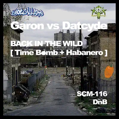 Ascolta 'Back in the Wild - Single' di Garon and Datcyde