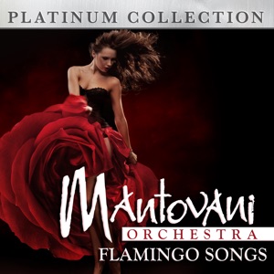 Flamingo Songs