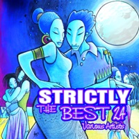 Strictly the Best, Vol. 24 - Various Artists