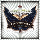 Foo Fighters - The Deepest Blues Are Black