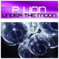 UNDER THE MOON