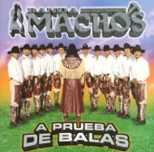 Banda Machos - Esa Chinche Víeja