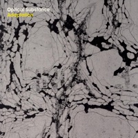 Adaptation (feat. Kjetil Husebø) - Optical Substance