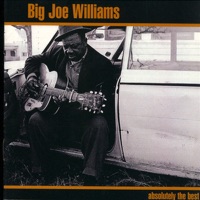 Absolutely the Best - Big Joe Williams