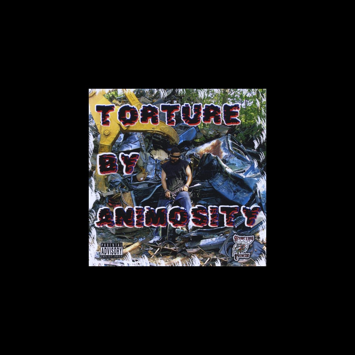 ‎Torture By Animosity - Album by Animosity - Apple Music