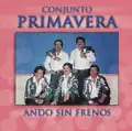 Ando Sin Frenos