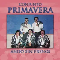 ANDO SIN FRENOS