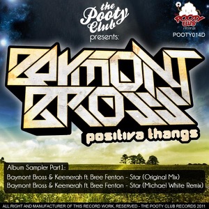 Star (Positiva Thangs Sampler PT1) (feat. Bree Fenton) - Single