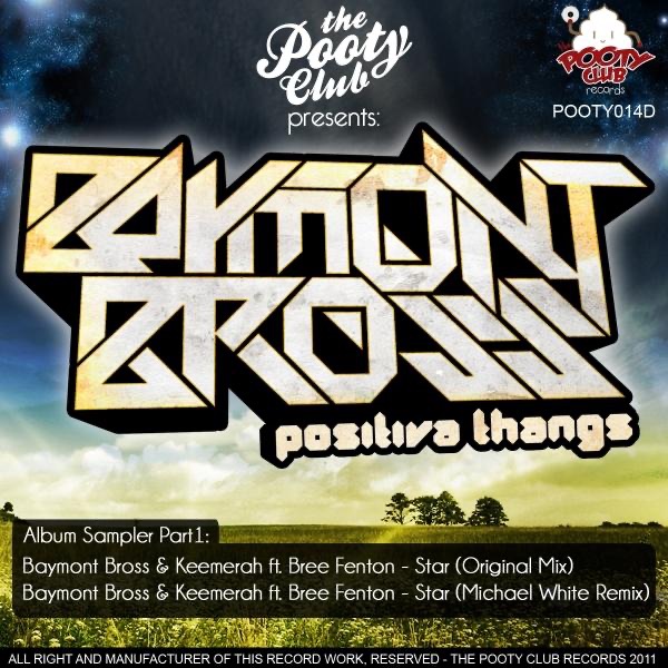 Star (Positiva Thangs Sampler PT1) (feat. Bree Fenton) - Single
