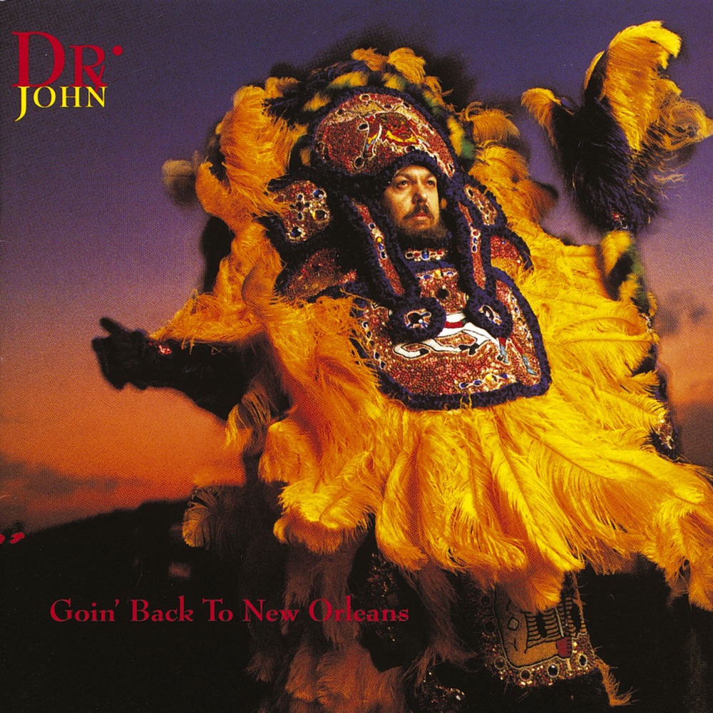 Обложка альбома «Goin' Back to New Orleans» — Dr John