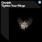 Tighten Your Wings - Grunjah & Sego lyrics