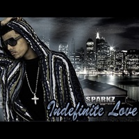 Indefinite Love - Single - Sparkz