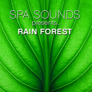 Rain Forest - Spa Sounds Musicians