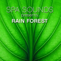 Rain Forest - Spa Sounds Musicians