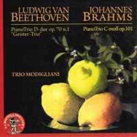 Mauro Loguercio, Francesco Pepicelli & Angelo Pepicelli - Johannes Brahms : Piano Trio in C moll, Op. 101. Allegro molto