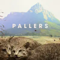 The Kiss — Pallers