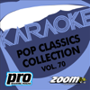 In the Summertime (Karaoke In the Style of Mungo Jerry) - Zoom Karaoke