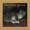 The Wild Swans - English Electric Lightning