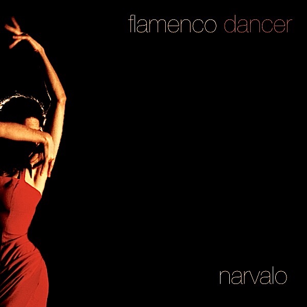 Flamenco Dancer