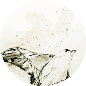 Raise - EP