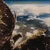 Flying