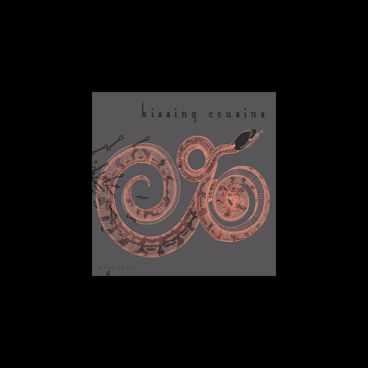 ‎Pillar of Salt Album by Kissing Cousins Apple Music