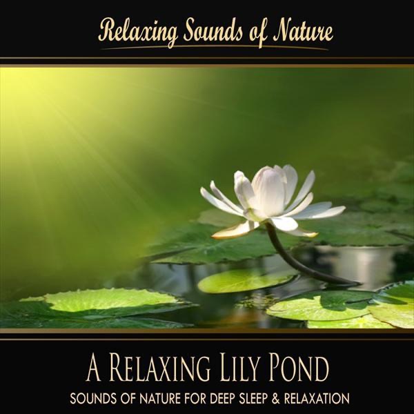 A Relaxing Lily Pond (Nature Sounds)