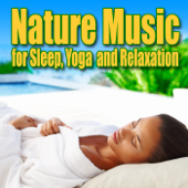 Cover art for Solo Flight (With Healing Songs of Birds for Deep Meditation and Contemplation) by Nature Sounds Nature Music