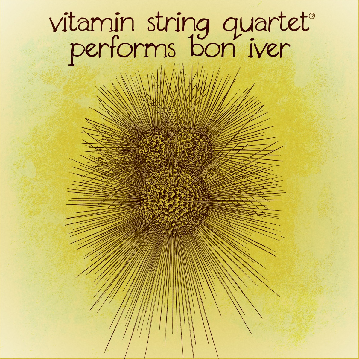 Vitamin String Quartet Performs Bon Iver cover art