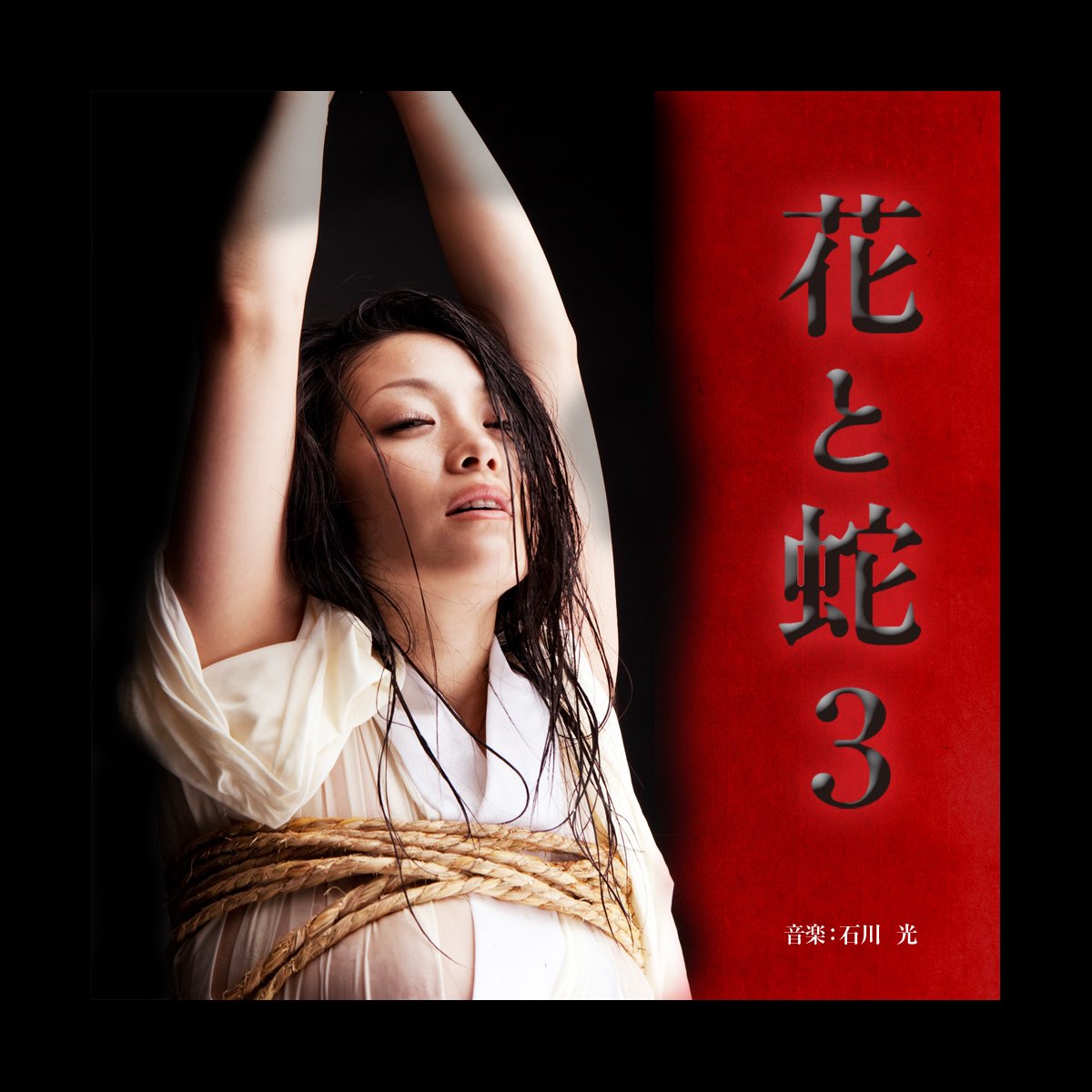 花与蛇 花と蛇 3 サウンドトラック - 石川光のアルバム - Apple Music