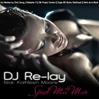 Lay - Spiel mit mir (Christopher S & Slin Project Remix Edit) — DJ Re