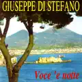 VOCE 'E NOTTE