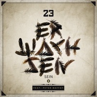 Erwachsen sein (feat. Peter Maffay) - Single - 23